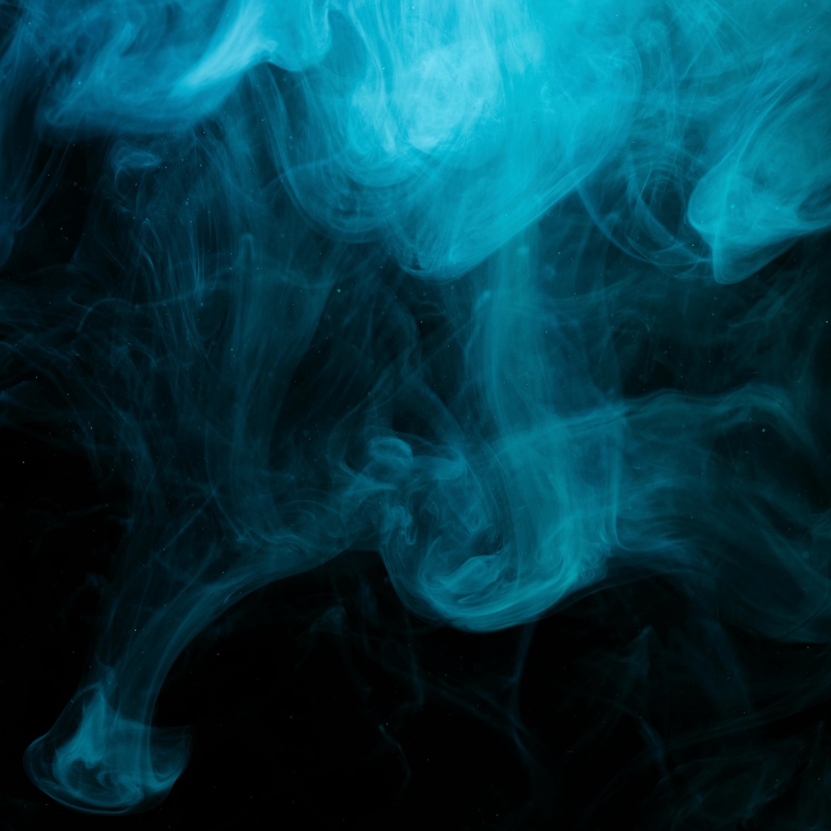 Creating Phantoms: How Fraud Actors Build Synthetic Identities