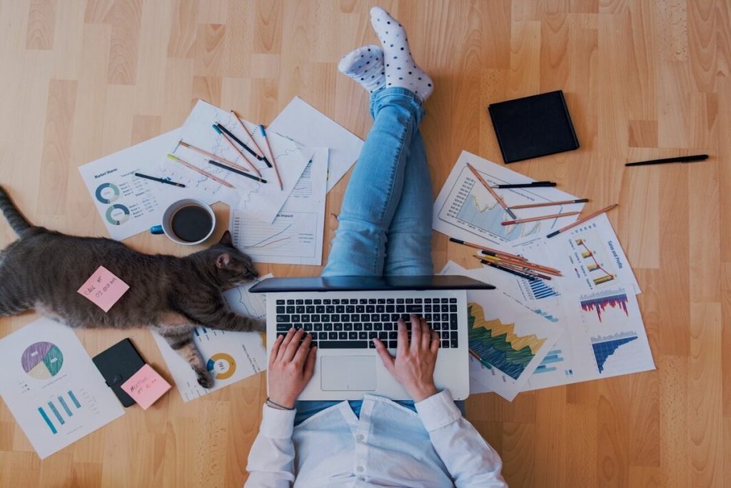 person working on laptop frop at home next to a sleeping cat